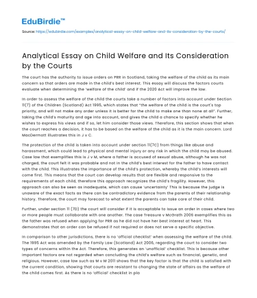 Analytical Essay on Child Welfare and Its Consideration by the Courts