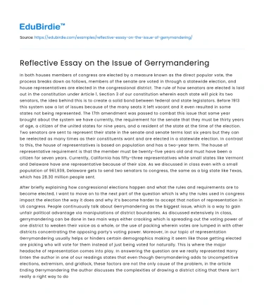 Reflective Essay on the Issue of Gerrymandering