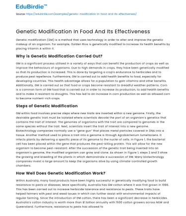 Genetic Modification In Food And Its Effectiveness