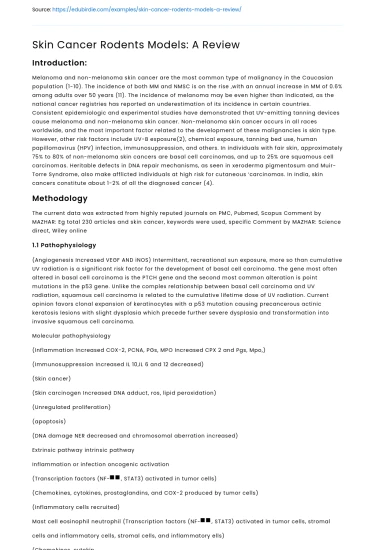 Skin Cancer Rodents Models: A Review