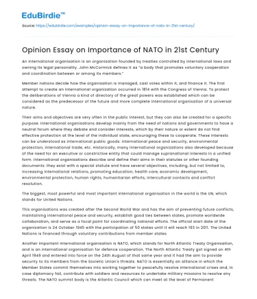 Opinion Essay on Importance of NATO in 21st Century