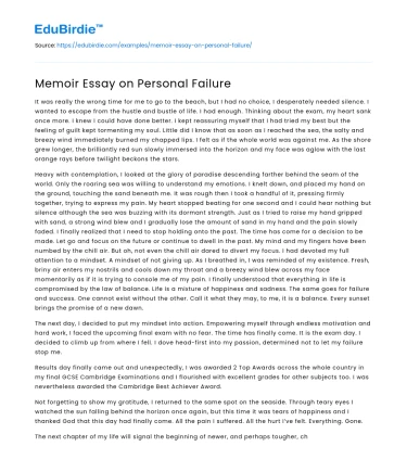 Memoir Essay on Personal Failure