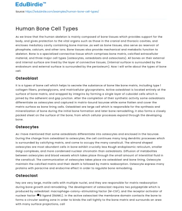 Human Bone Cell Types