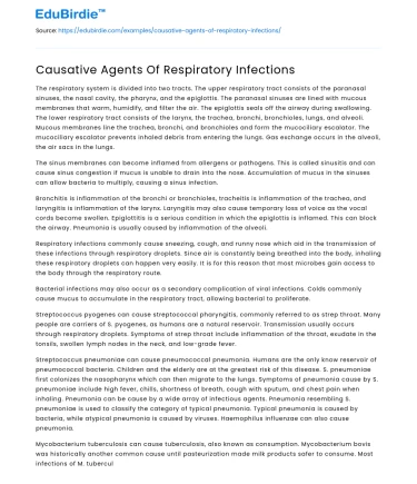Causative Agents Of Respiratory Infections