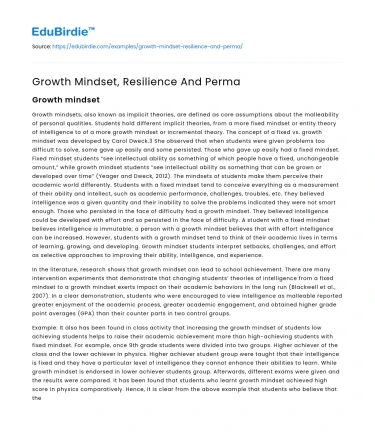 Growth Mindset, Resilience And Perma