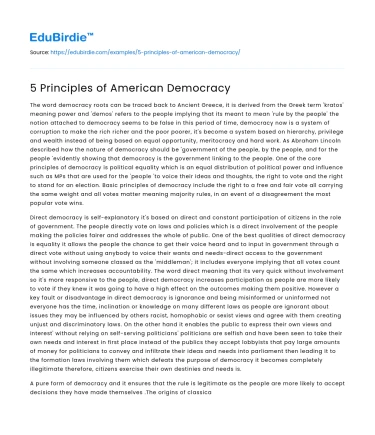 5 Principles of American Democracy