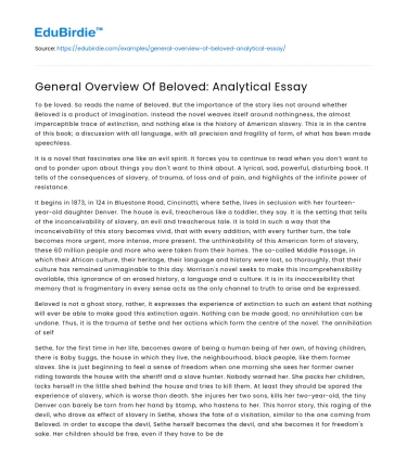 General Overview Of Beloved: Analytical Essay