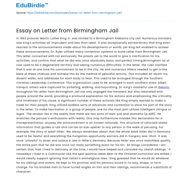 Essay on Letter from Birmingham Jail