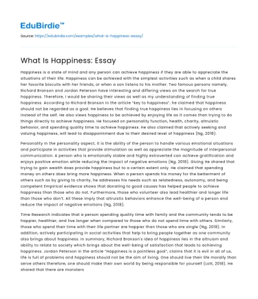 What Is Happiness: Essay