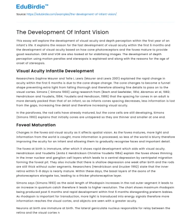 The Development Of Infant Vision