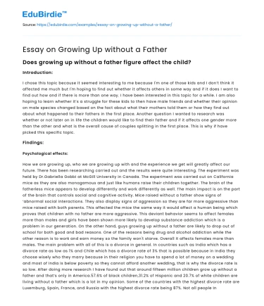 Essay on Growing Up without a Father
