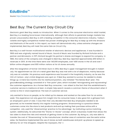Best Buy: The Current Day Circuit City