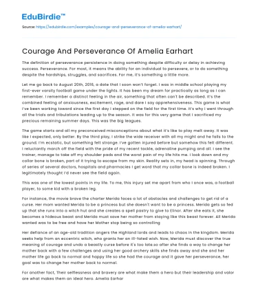 Bravery and Determination: Amelia Earhart’s Legacy