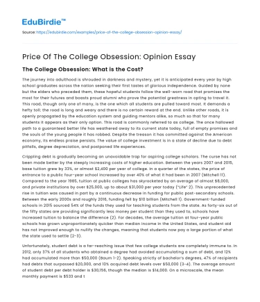 Price Of The College Obsession: Opinion Essay