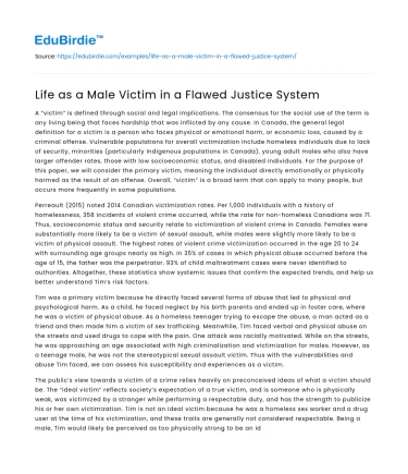 Life as a Male Victim in a Flawed Justice System