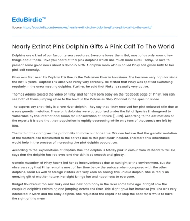 Nearly Extinct Pink Dolphin Gifts A Pink Calf To The World