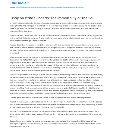 Essay on Plato’s Phaedo: The Immortality of The Soul
