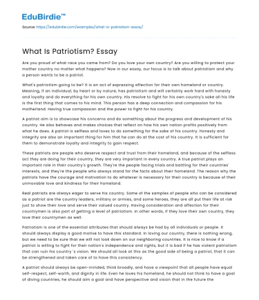 What Is Patriotism? Essay