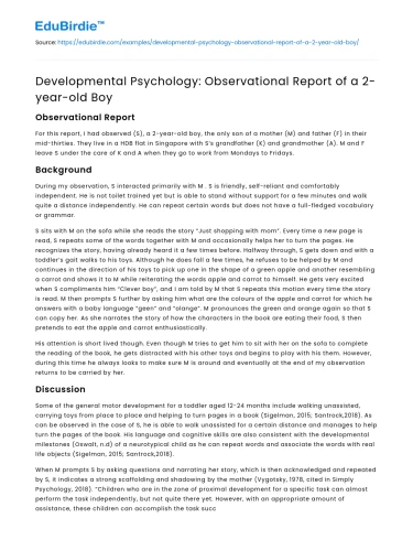 Developmental Psychology: Observational Report of a 2-year-old Boy