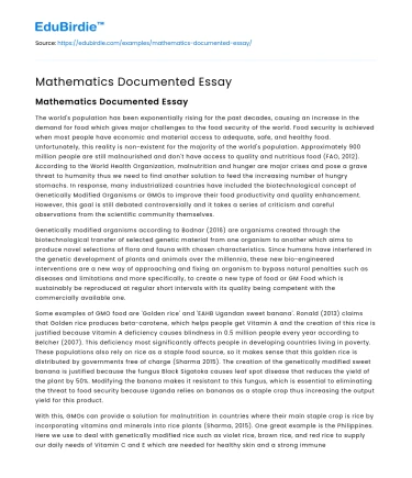 Mathematics Documented Essay