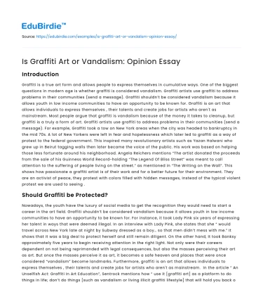 Is Graffiti Art or Vandalism: Opinion Essay