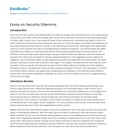 Essay on Security Dilemma