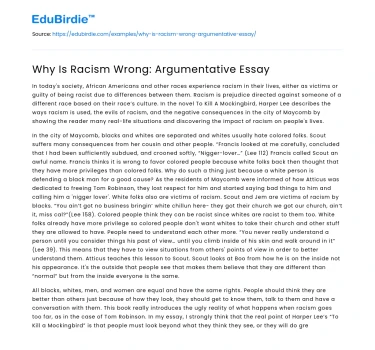 Why Is Racism Wrong: Argumentative Essay