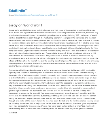 Essay on World War 1