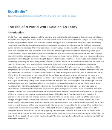 The Life of a World War I Soldier: An Essay
