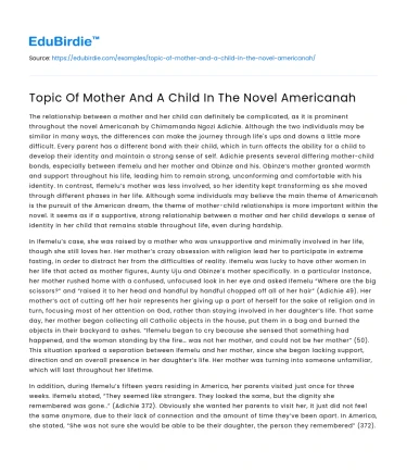 Topic Of Mother And A Child In The Novel Americanah