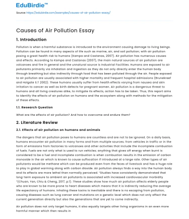 Causes of Air Pollution Essay