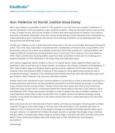 Gun Violence Vs Social Justice Issue Essay