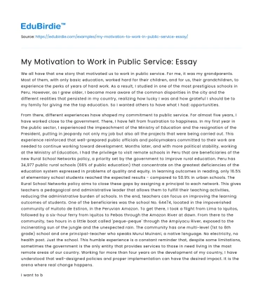 My Motivation to Work in Public Service: Essay