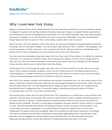 Why I Love New York: Essay