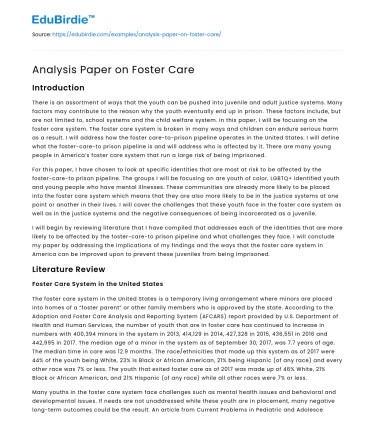 Analysis Paper on Foster Care