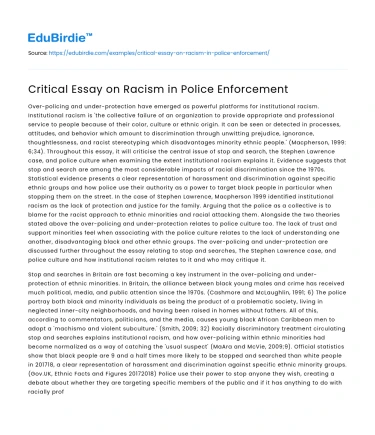 Critical Essay on Racism in Police Enforcement
