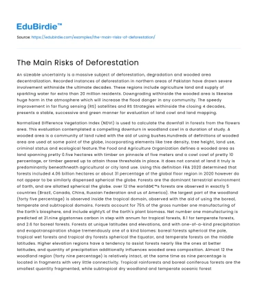 The Critical Risks of Deforestation