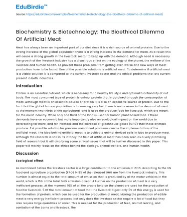 Biochemistry & Biotechnology: The Bioethical Dilemma Of Artificial Meat