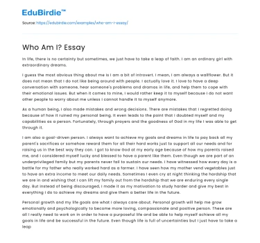 Who Am I? Essay