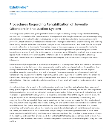 Juvenile Offender Rehabilitation in Justice System