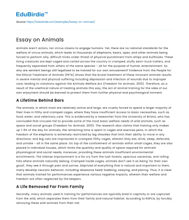 Essay on Animals