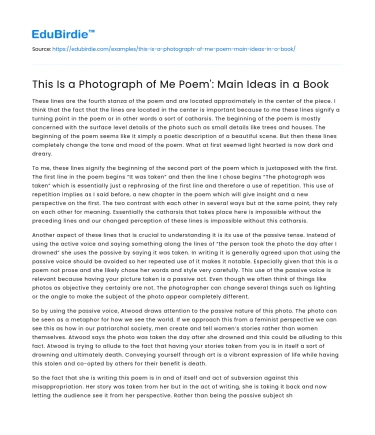 This Is a Photograph of Me Poem’: Main Ideas in a Book