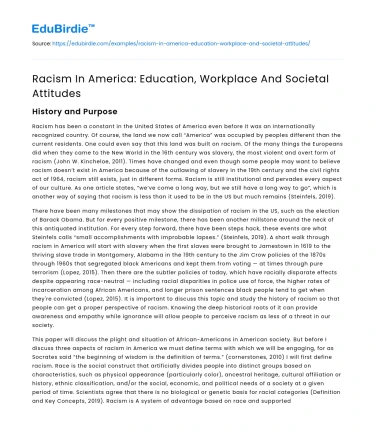 Racism In America: Education, Workplace And Societal Attitudes