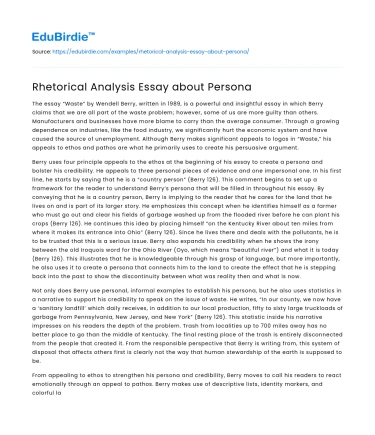 Rhetorical Analysis Essay about Persona