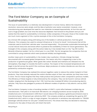 The Ford Motor Company as an Example of Sustainability