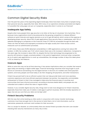 Common Digital Security Risks