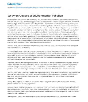 Essay on Causes of Environmental Pollution