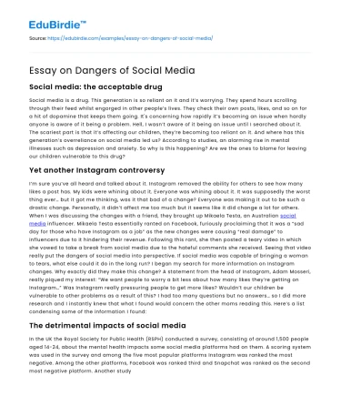 Essay on Dangers of Social Media