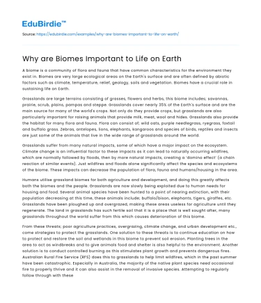 Why are Biomes Important to Life on Earth