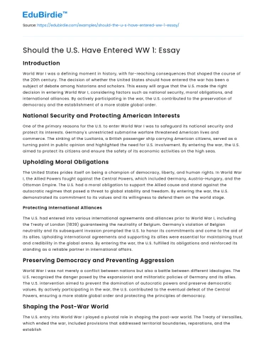 Should the U.S. Have Entered WW 1: Essay